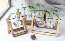 Load image into Gallery viewer, Creative Hydroponic Plant Vase