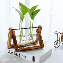 Load image into Gallery viewer, Creative Hydroponic Plant Vase
