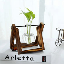 Load image into Gallery viewer, Creative Hydroponic Plant Vase