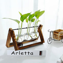 Load image into Gallery viewer, Creative Hydroponic Plant Vase